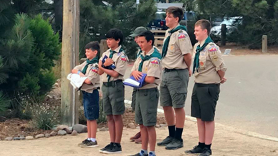 Boy Scout flag detail