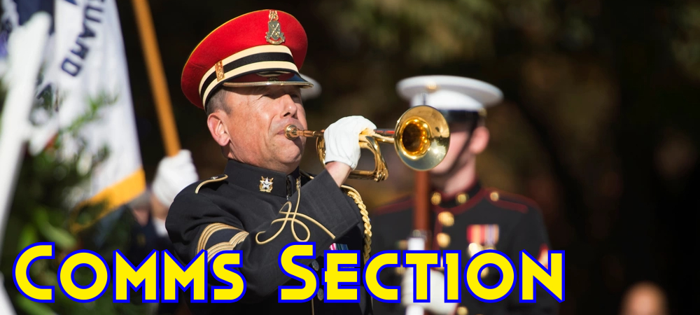 An Army Bugler plays Taps during a Veterans Day ceremony at Arlington National Cemetery in Virginia.