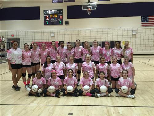 Dig Pink 