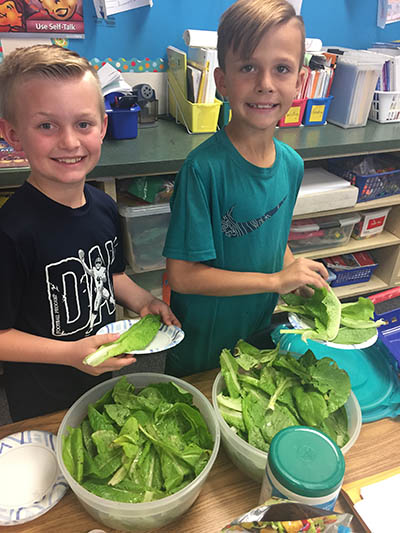 Making Salad