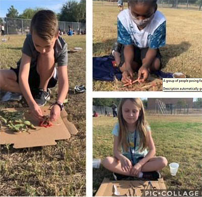 Native American Shelters