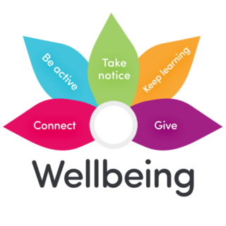 Wellbeing flower