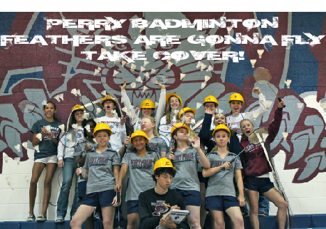 Feathers will fly Feathers will fly