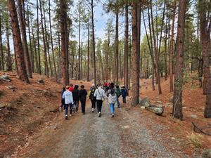 hiking at camp