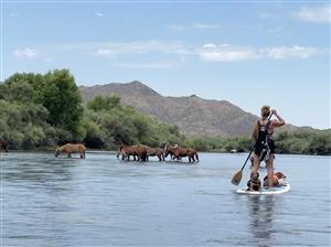 Salt River SUP