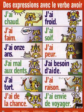 Expressions with Avoir 