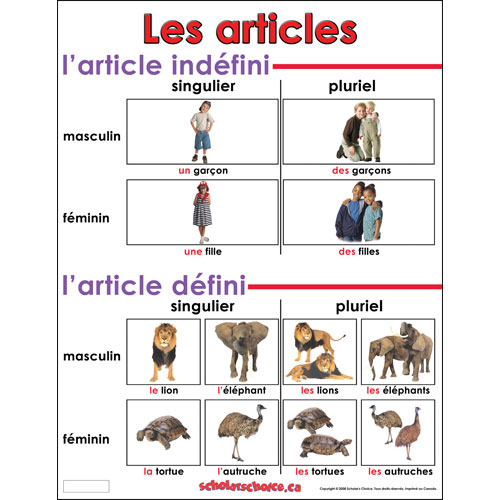 Les articles 