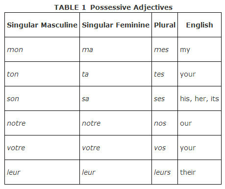 Possessive Adjectives 