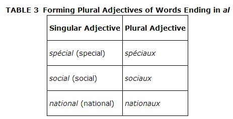 Irregular Plural 