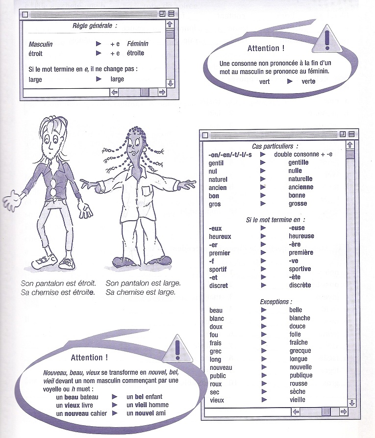 Adjective Agreement 