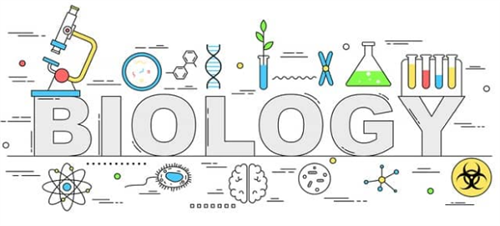 Biology upper margin 