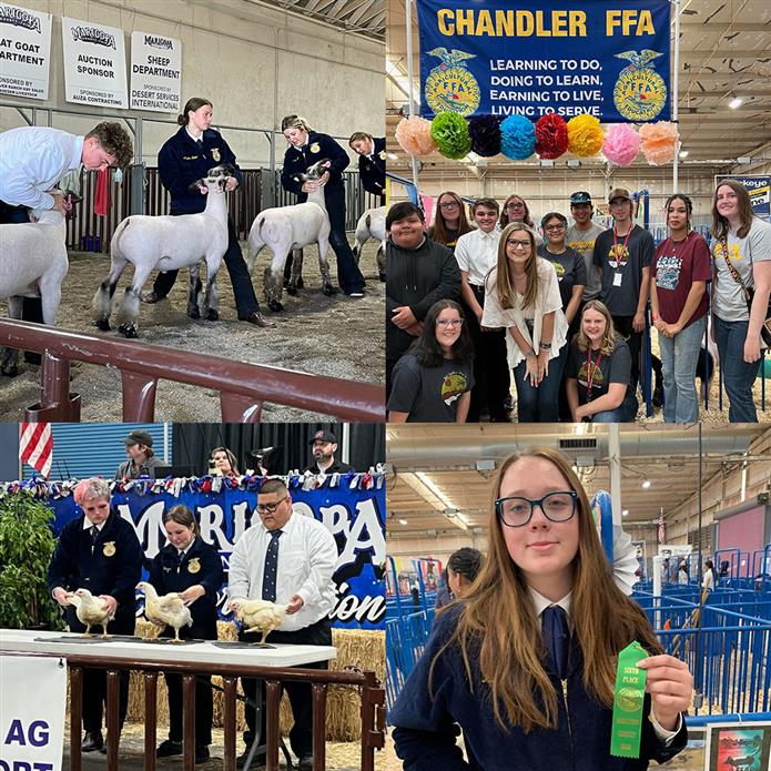  Chandler FFA at Maricopa County Fair