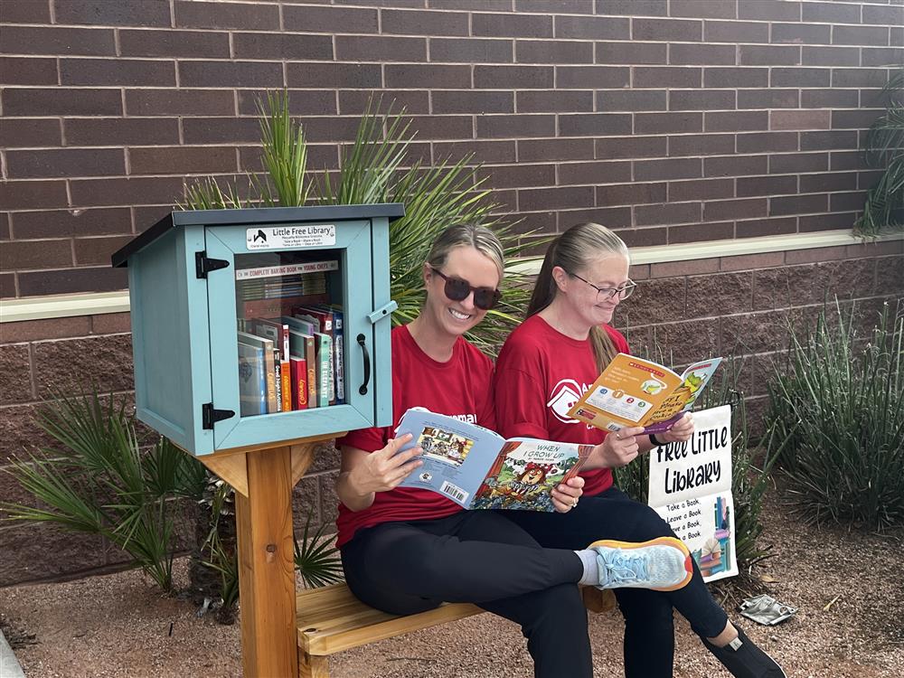 Little FREE Library