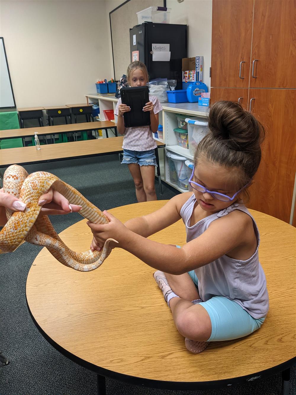 Wild animal unit and Reptile Presentation