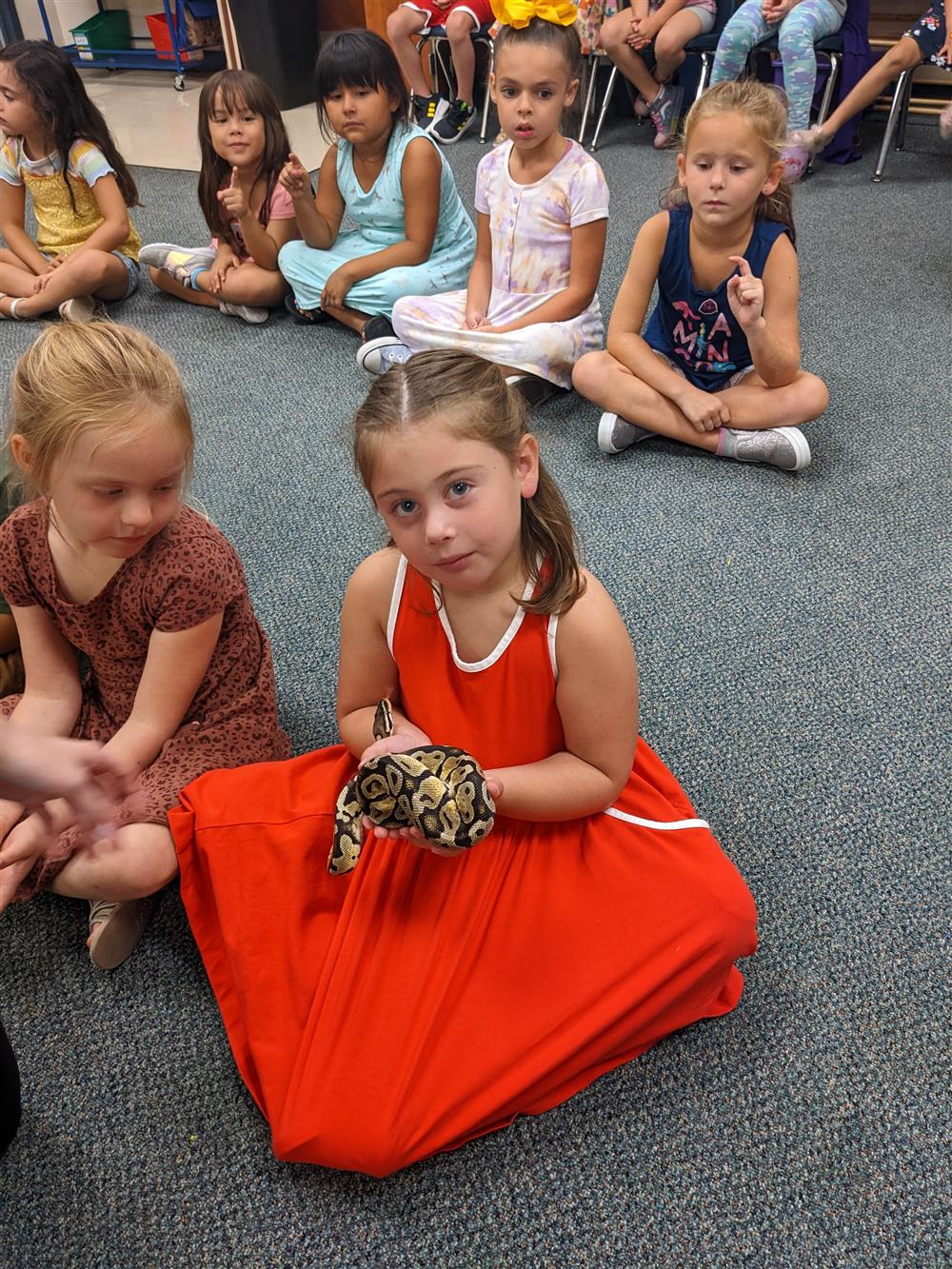 Wild animal unit and Reptile Presentation