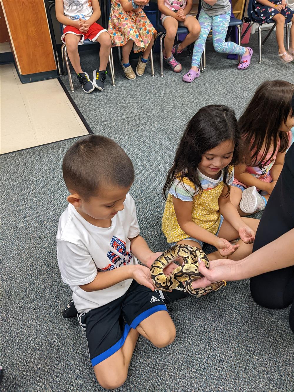 Wild animal unit and Reptile Presentation