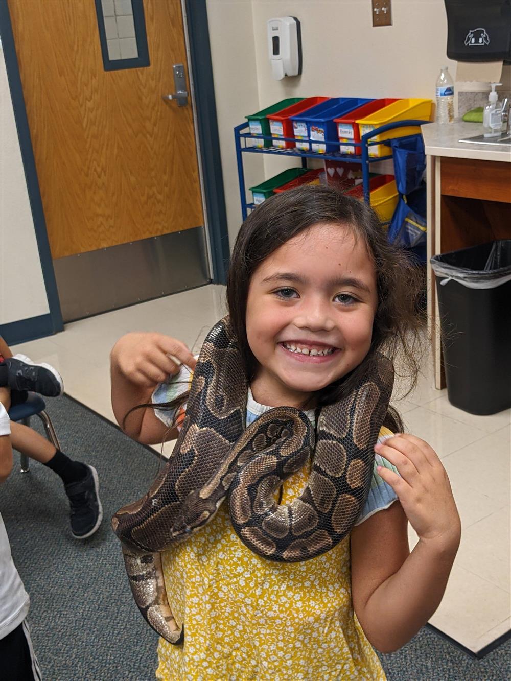 Wild animal unit and Reptile Presentation