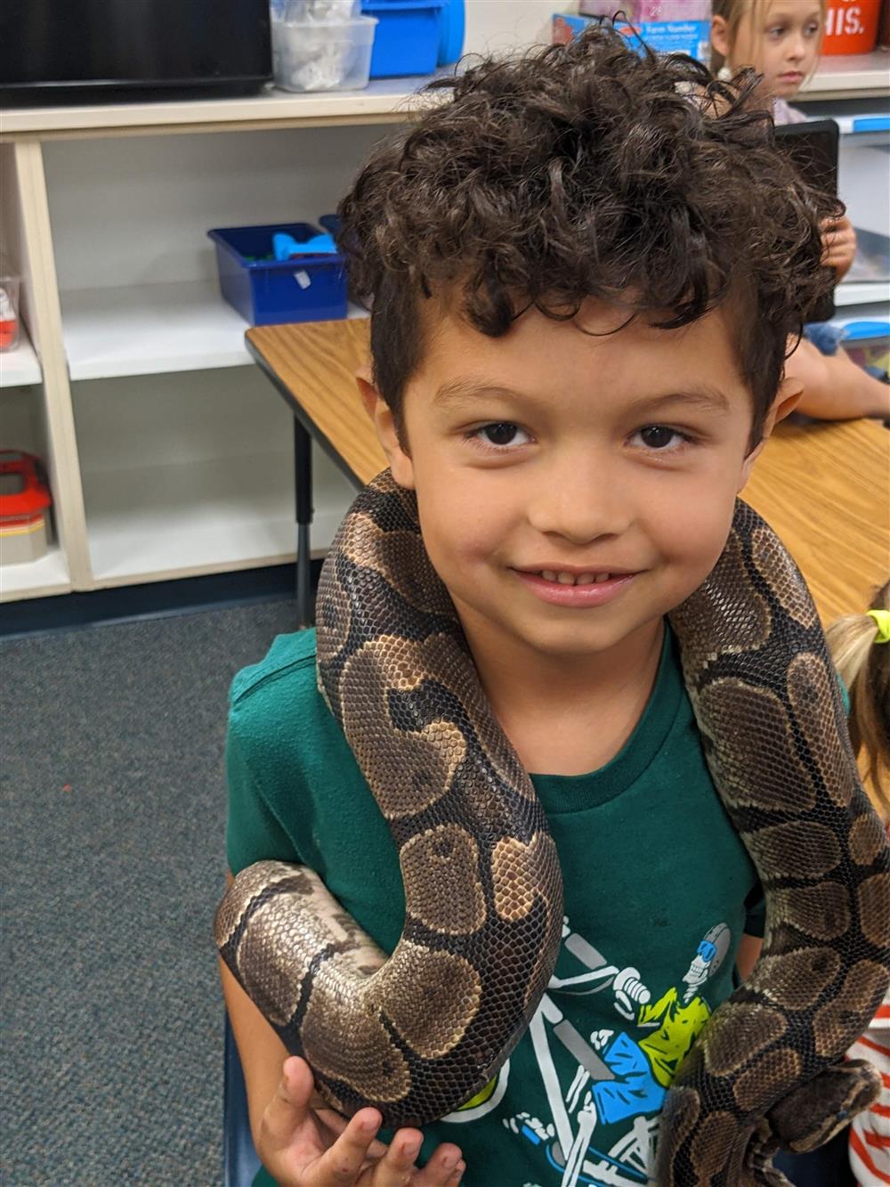 Wild animal unit and Reptile Presentation