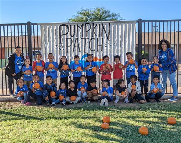 Students pick pumpkins at school. 