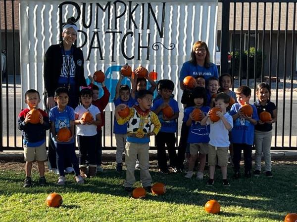 Students pick pumpkins at school. 