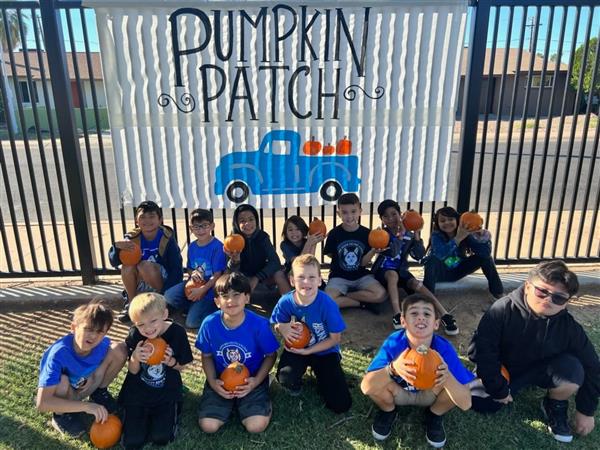 Students pick pumpkins at school. 