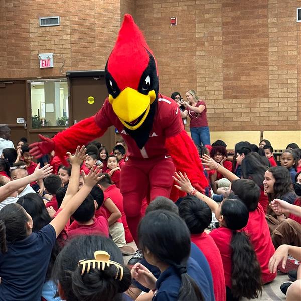 Cardinals & Scheels Assembly