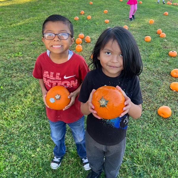 Pumpkin Patch